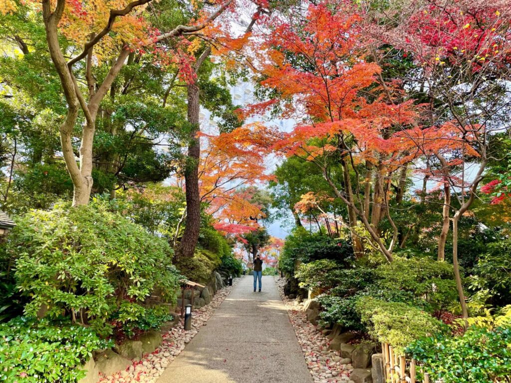 プリンスホテルの日本庭園の紅葉