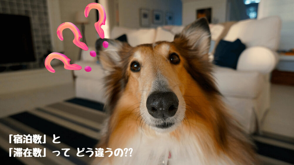 「宿泊数」と「滞在数」の違いとは??