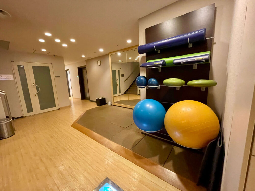 ヒルトン東京 ジム バランスボール