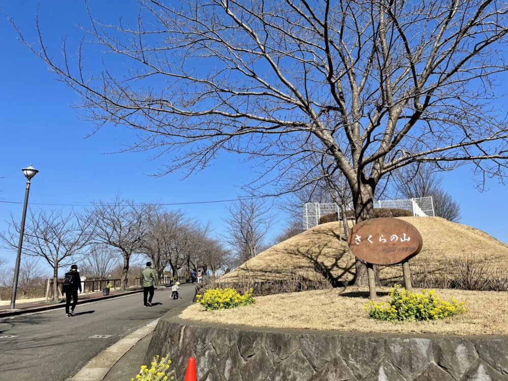 ヒルトン成田 ランニング さくらの山公園への坂道