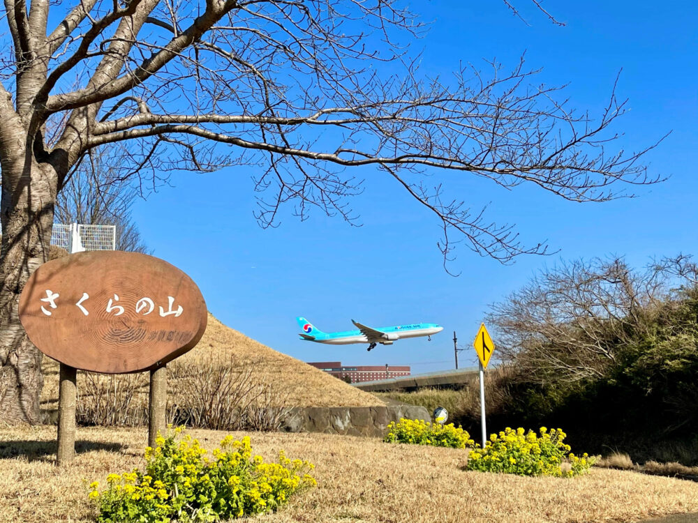 ヒルトン成田 ランニング さくらの山公園の看板