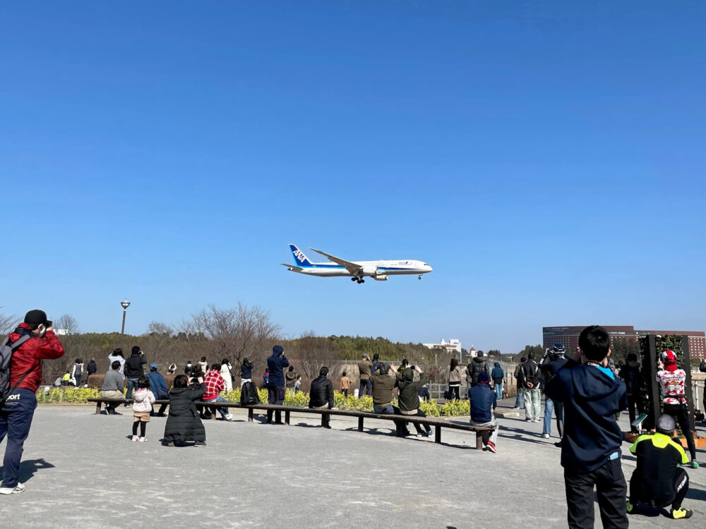 ヒルトン成田 ランニング さくらの山公園から見るANA