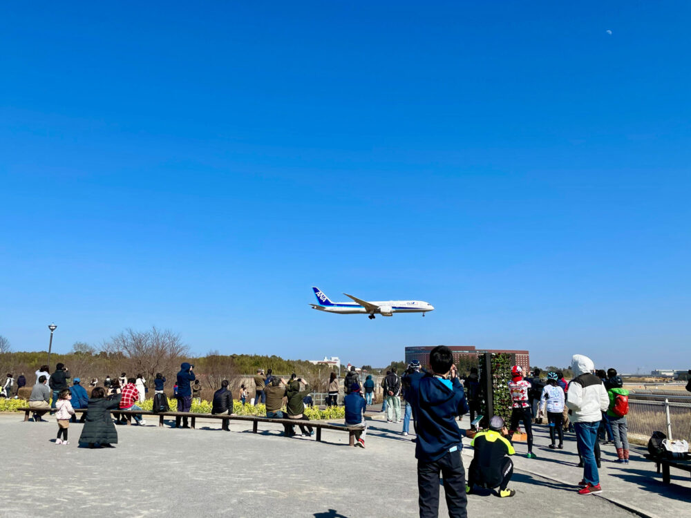 ヒルトン成田 ランニング さくらの山公園から見るANA