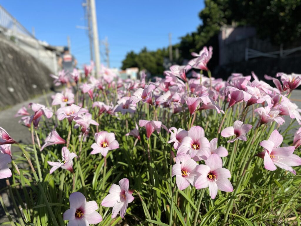 「ヒルトン瀬底」旅ランの様子