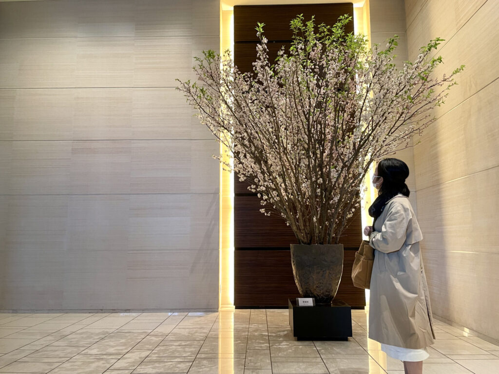 コンラッド東京 季節のお花