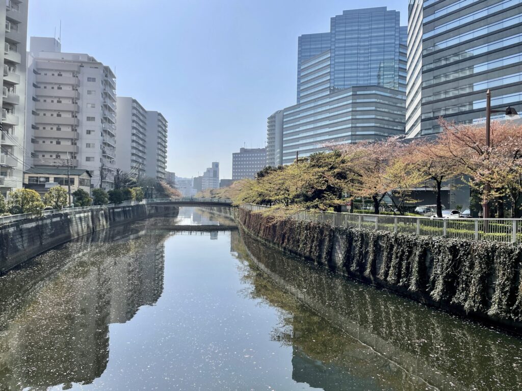 山手線徒歩で一周 目黒川