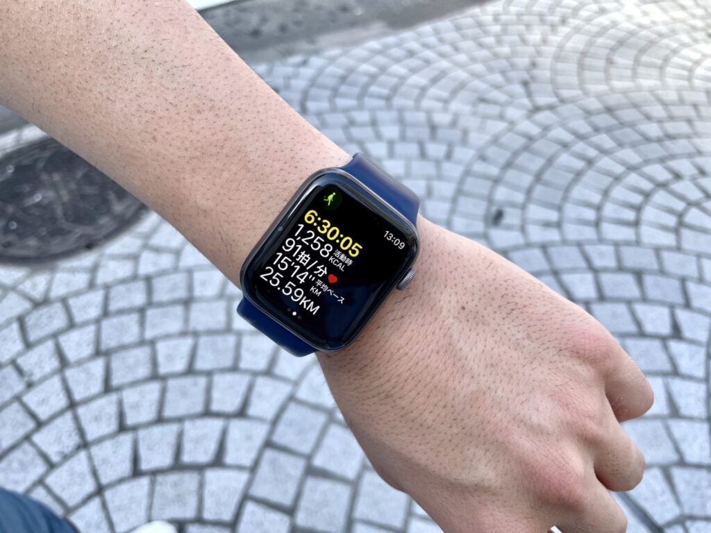 山手線徒歩で一周 25km通過