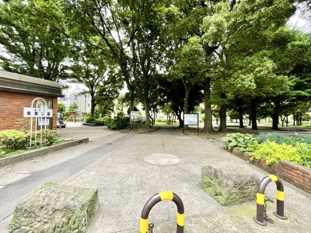 「東京エクストリームウォーク100」青葉公園を通過