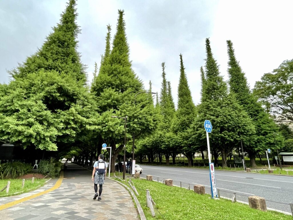 「東京エクストリームウォーク100」神宮外苑 いちょう並木にて