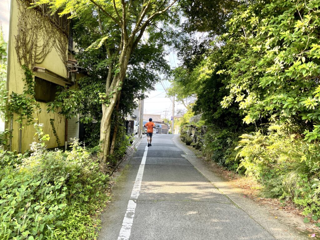 ロク京都 旅ラン 新緑の京都