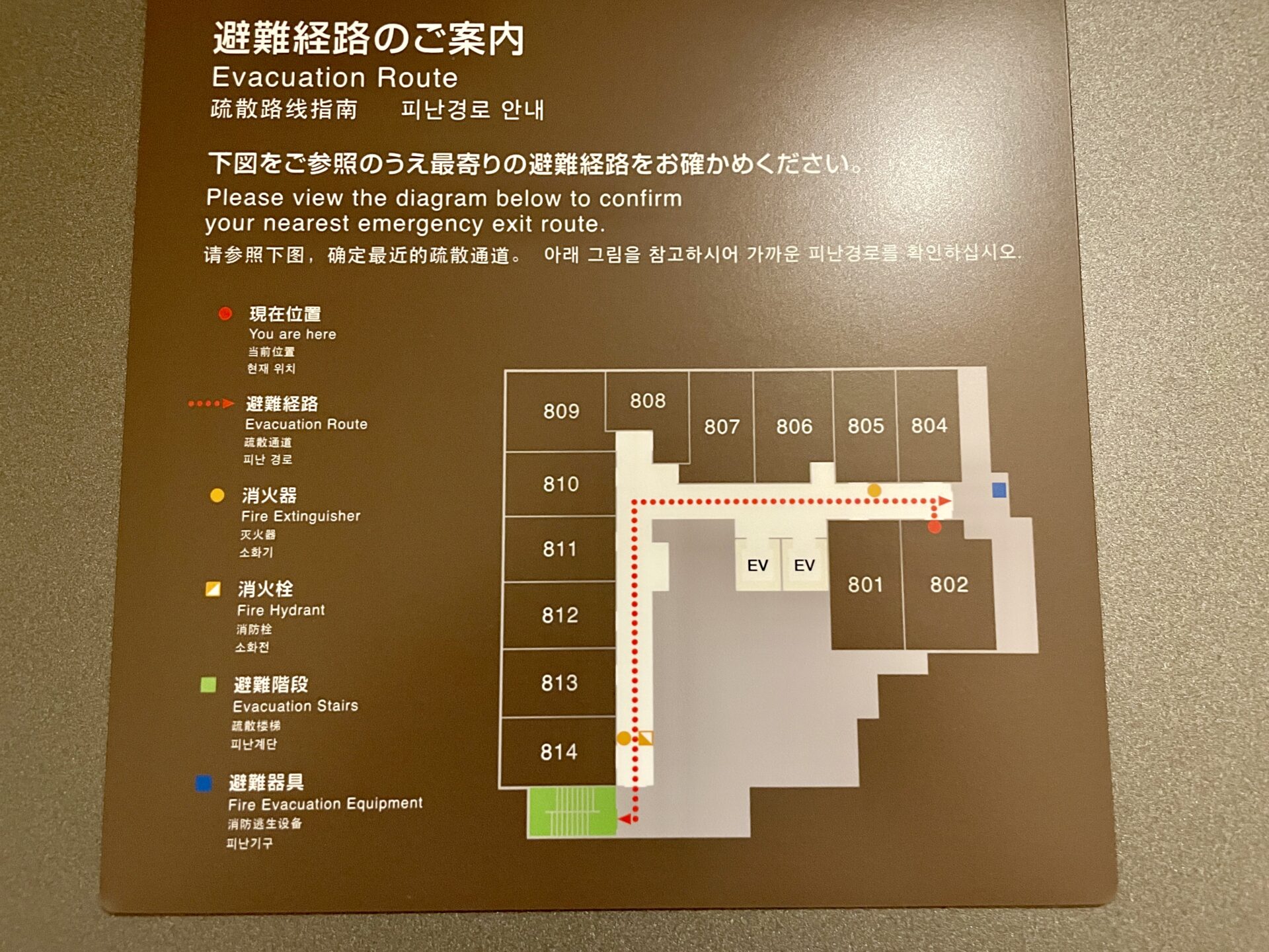 ドーミーイン広島ANNEX フロアマップ
