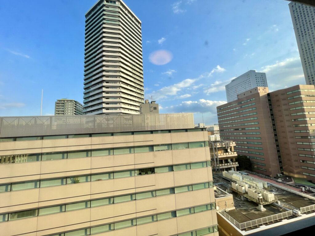 ドーミーイン池袋 客室からの眺望