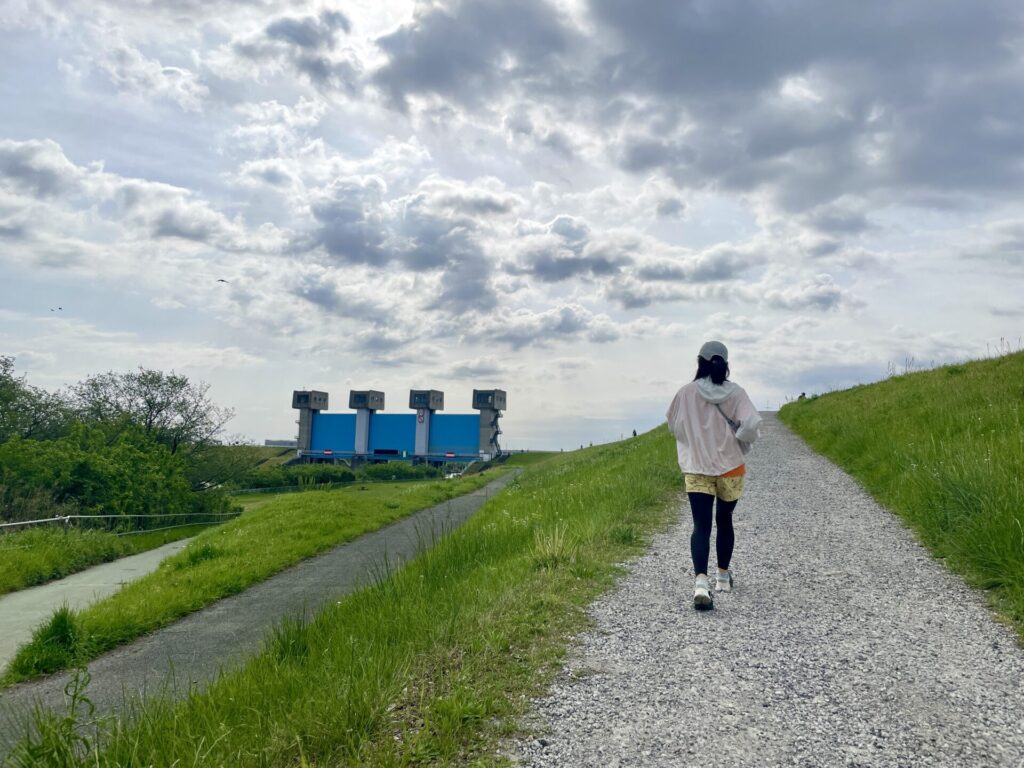 隅田川ウォーキング 岩淵水門と土手