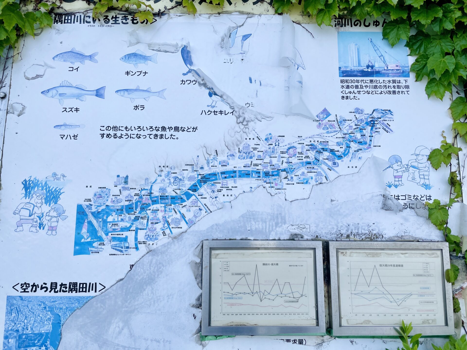 【隅田川ウォーキング】完全ガイド 川のはじまりから東京湾まで歩いてみた 隅田川MAP