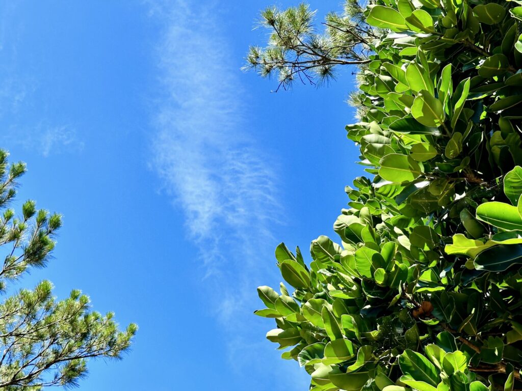 【ブログ旅行記】はじめての宮古島旅行 3泊4日ゆったりモデルコース 牧山展望台