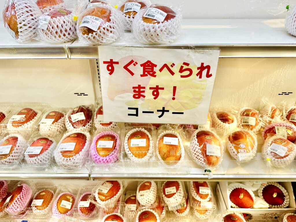 【ブログ旅行記】はじめての宮古島旅行 3泊4日ゆったりモデルコース 島の駅みやこ マンゴー共和国