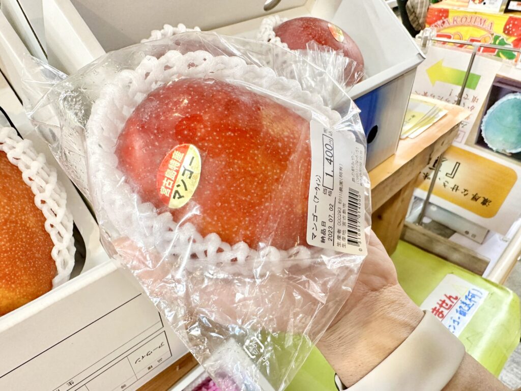 【ブログ旅行記】はじめての宮古島旅行 3泊4日ゆったりモデルコース 島の駅みやこ マンゴー共和国