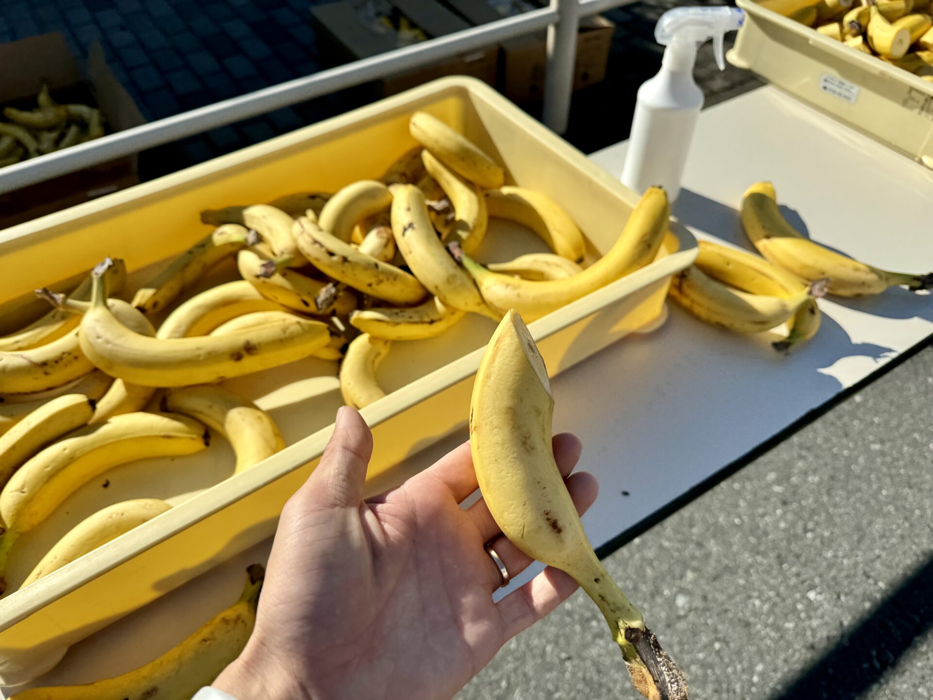 湘南国際マラソン 給食エイド バナナ