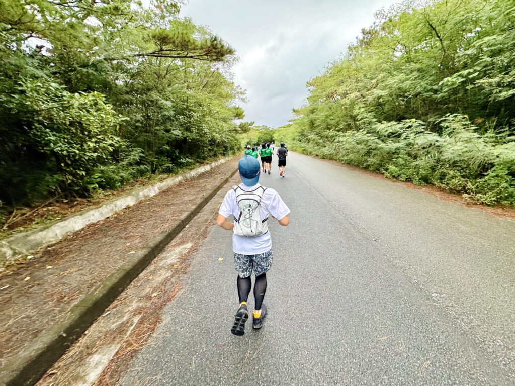 「17ENDハーフマラソン」折り返し後の下り坂