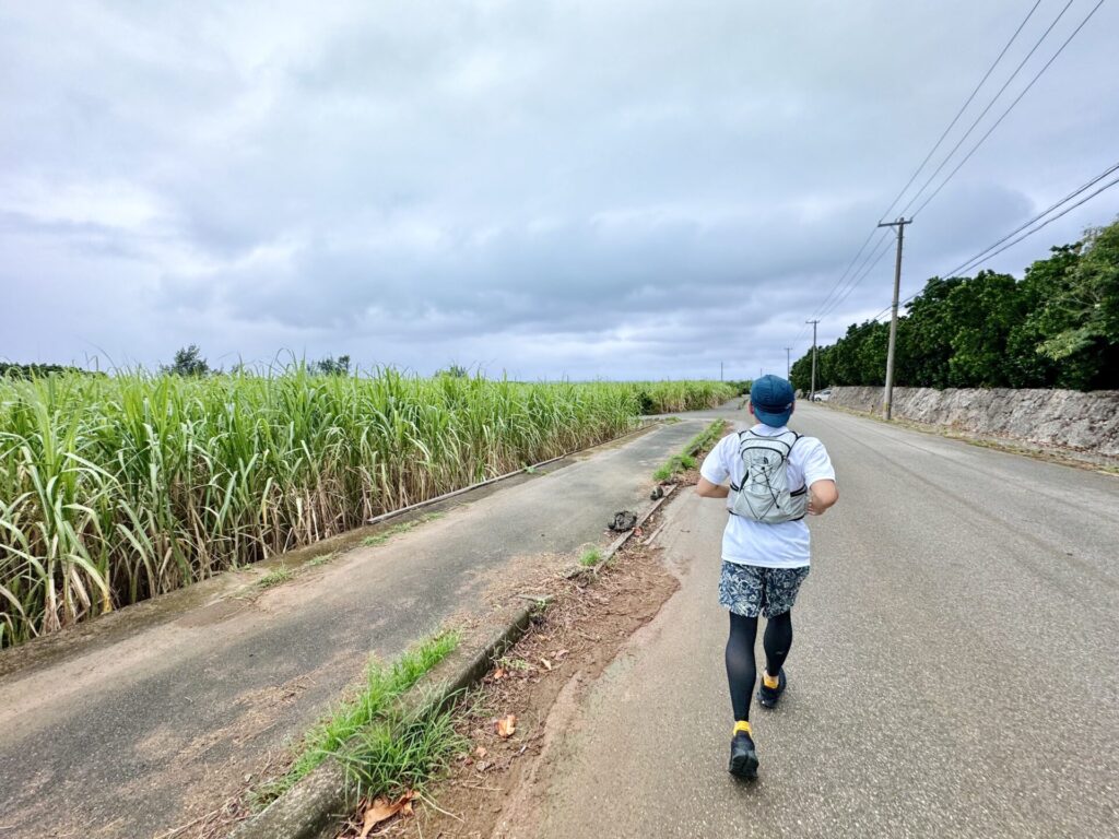 「17ENDハーフマラソン」宮古諸島らしい さとうきび畑の景色