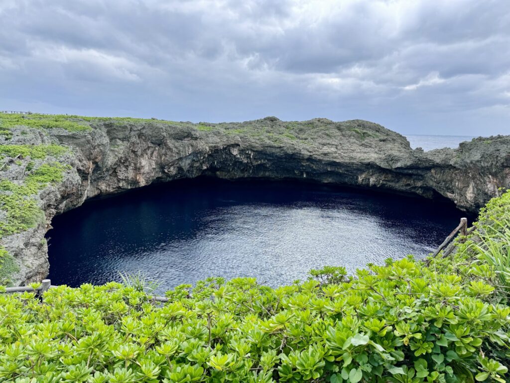 「17ENDハーフマラソン」通り池