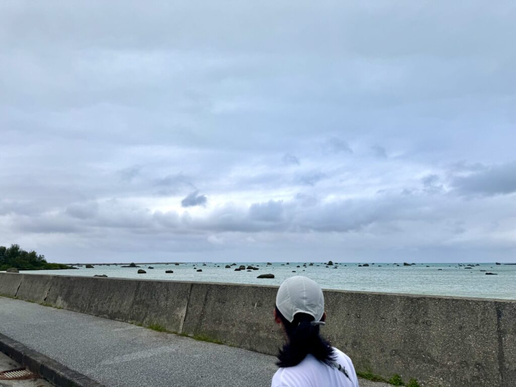 17ENDハーフマラソン 佐和田の浜