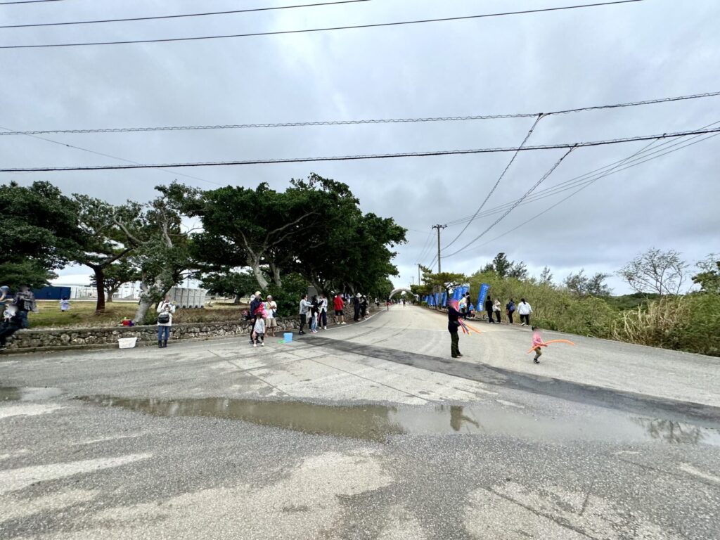 17ENDハーフマラソン スタート&ゴール地点の平成の森公園を通過