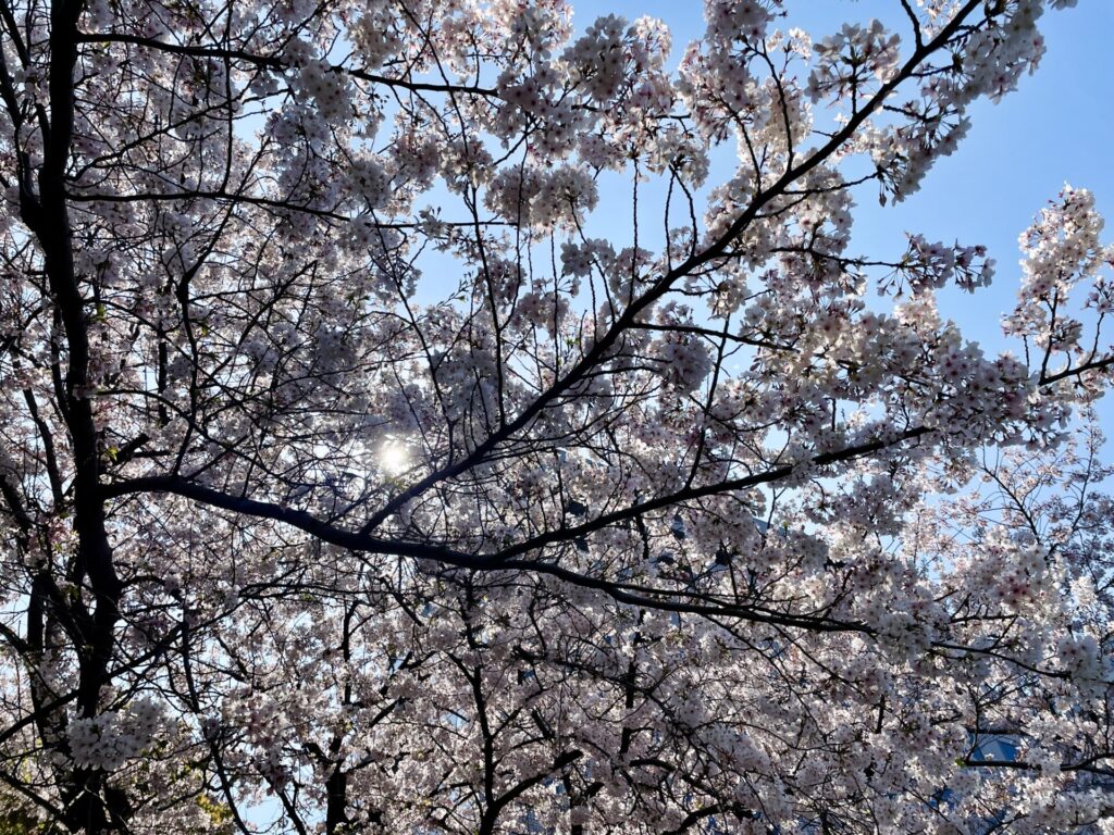 2023年 えだ旅 総まとめ 4月ドーミーイン川崎に2度目の宿泊