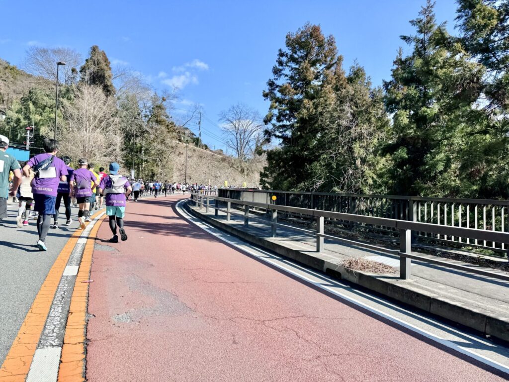 青梅マラソン 復路の様子