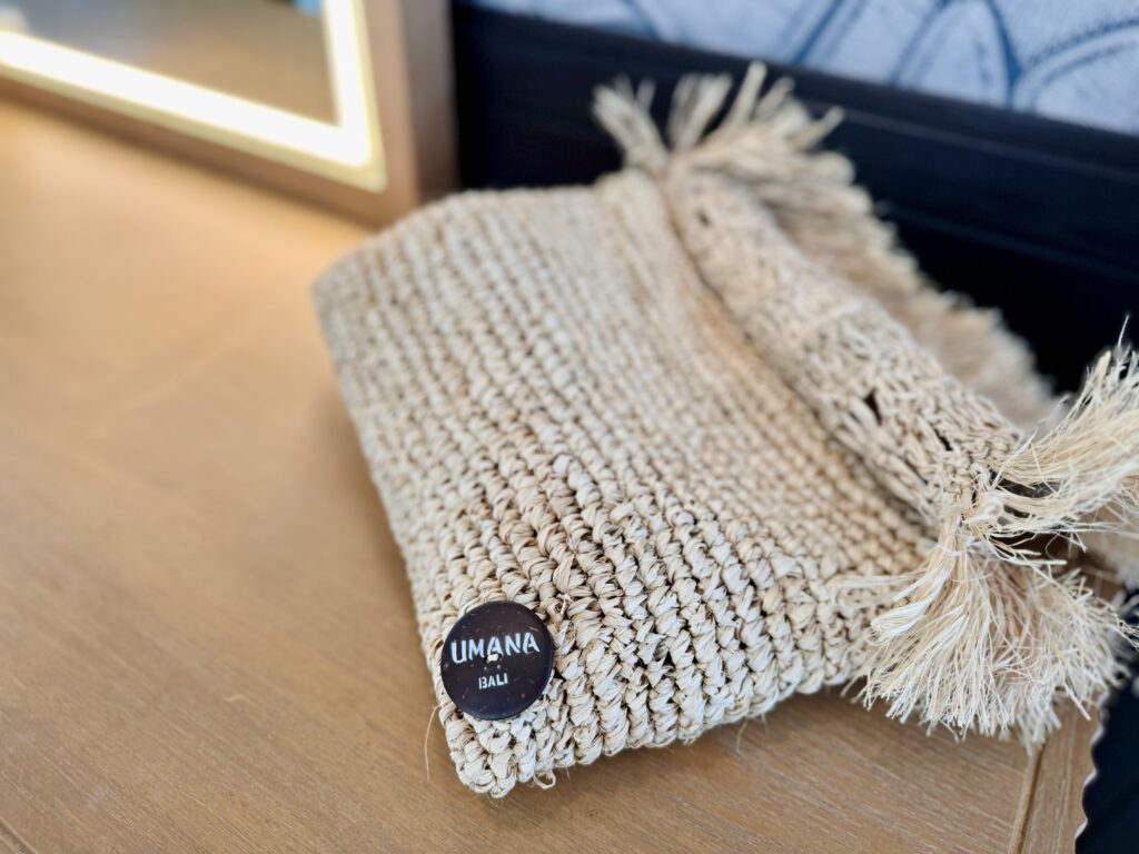 Umana Bali(ウマナバリ)LXR 客室 ドライヤー入れ