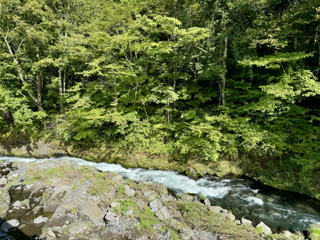 BLANC FUJI 桂川