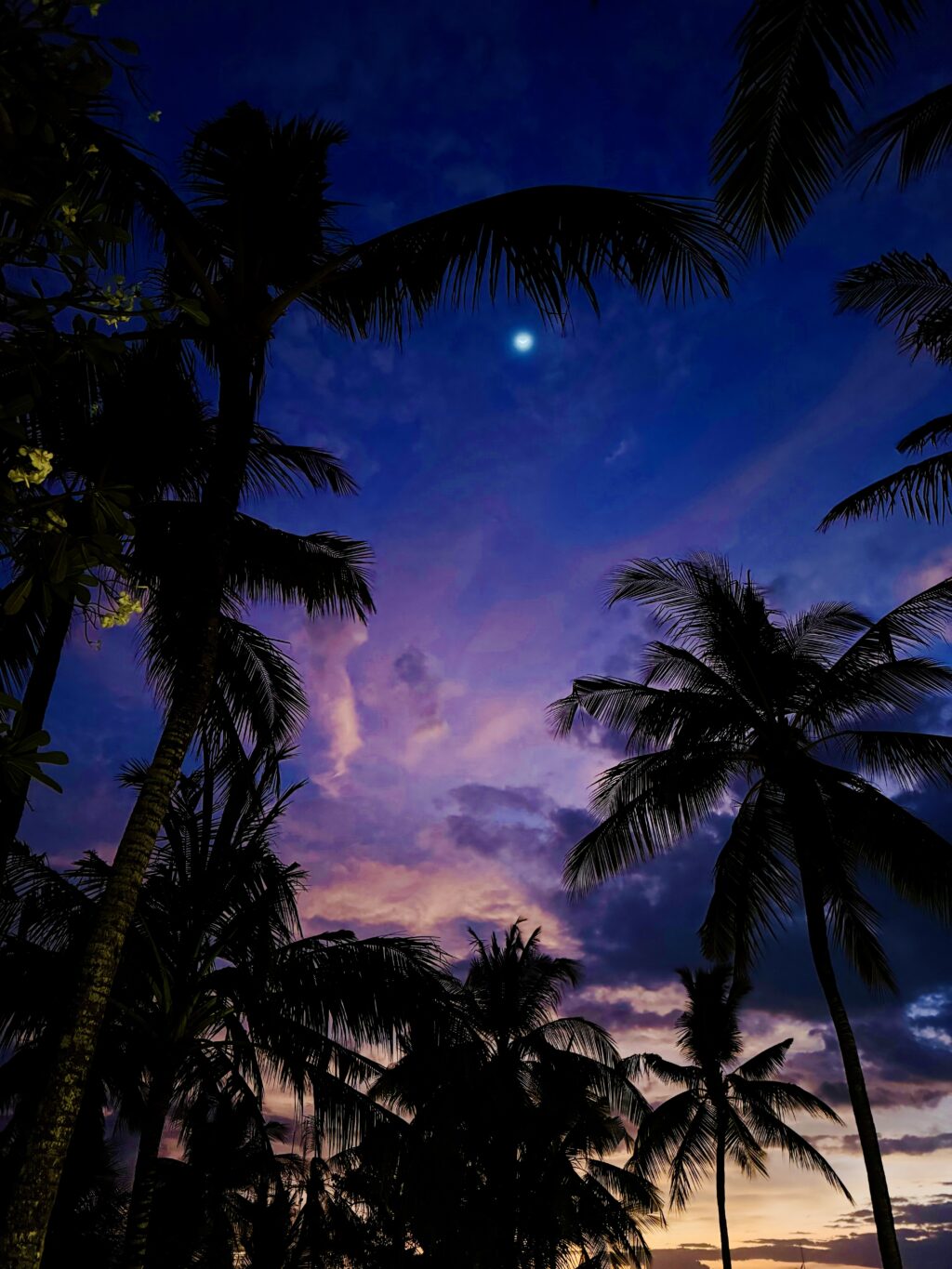 CONRAD BALI(コンラッドバリ) エントランスからの夜景