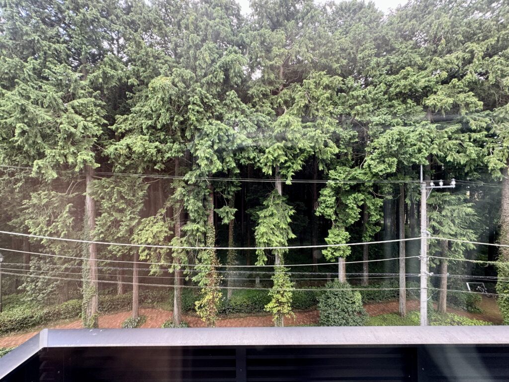 ドーミーインEXPRESS富士山御殿場 客室からの眺望