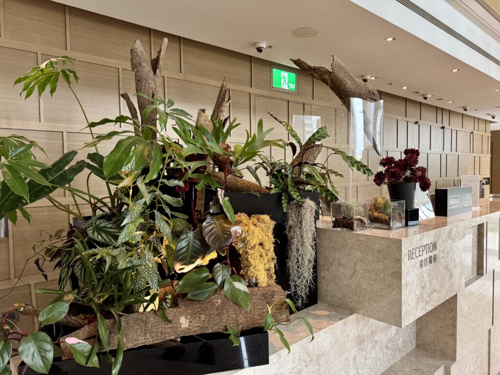 ハンブルハウス台北 レセプト