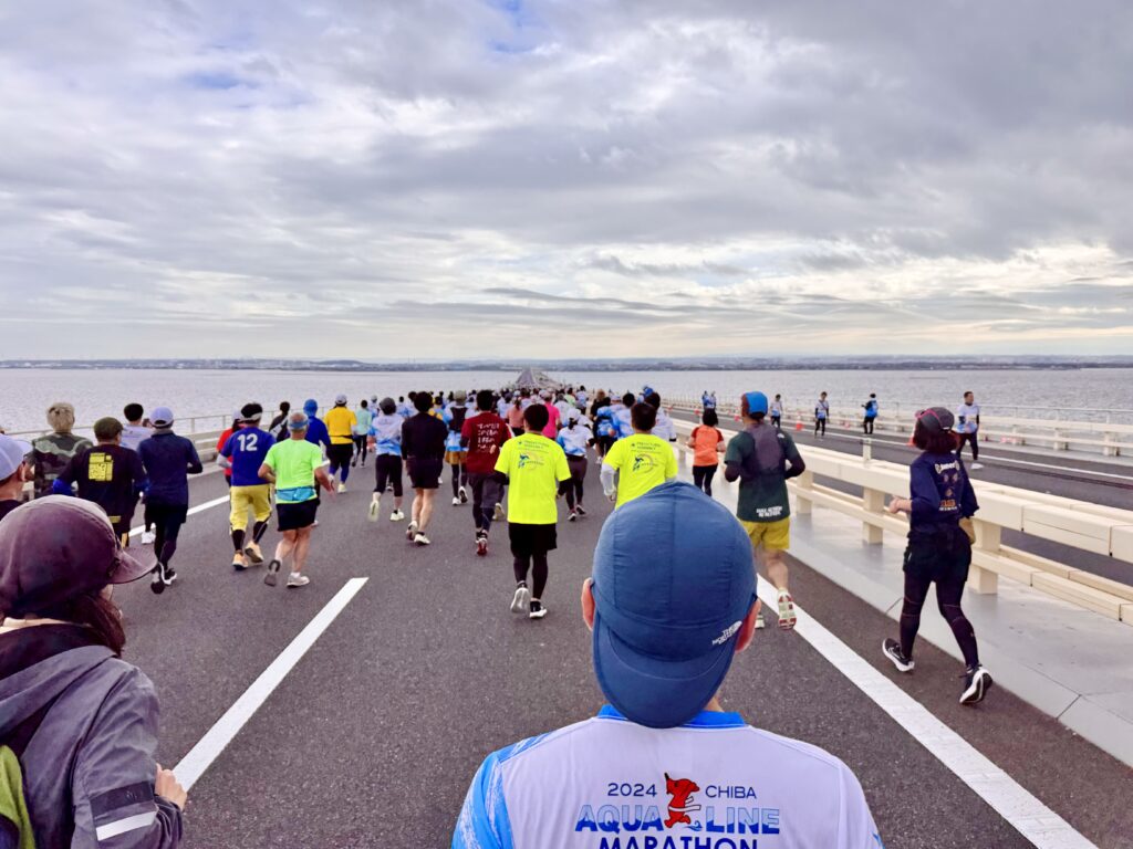 2024年「えだ旅 総まとめ」11月ちばアクアラインマラソン高低差