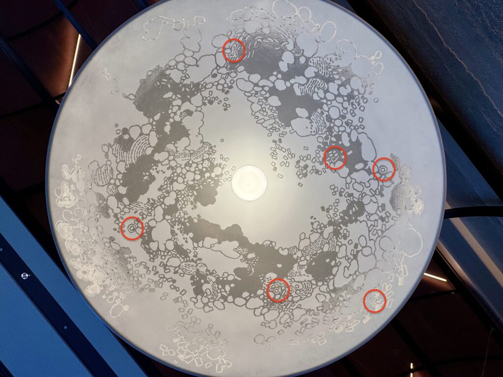 キャノピーbyヒルトン大阪梅田 朝食 肉まん照明 canopyの文字