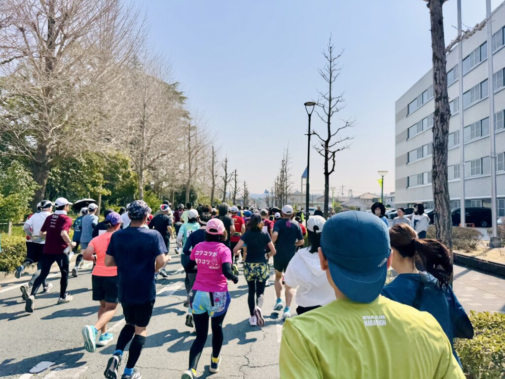 豊橋ハーフマラソン 大会中の様子