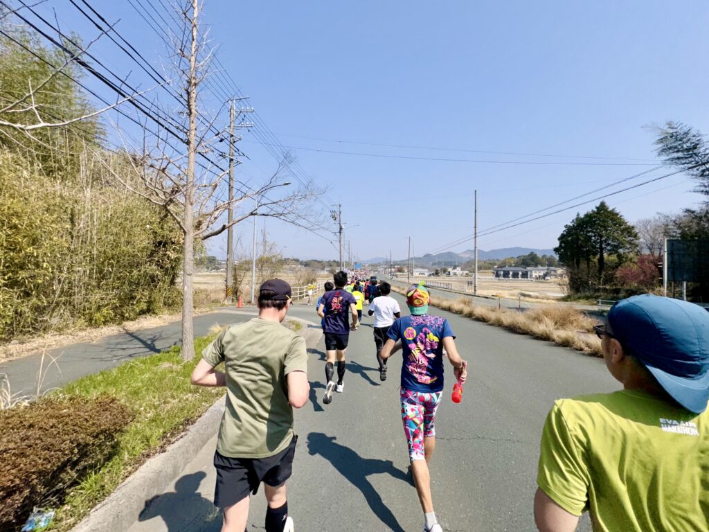 豊橋ハーフマラソン 大会中の様子