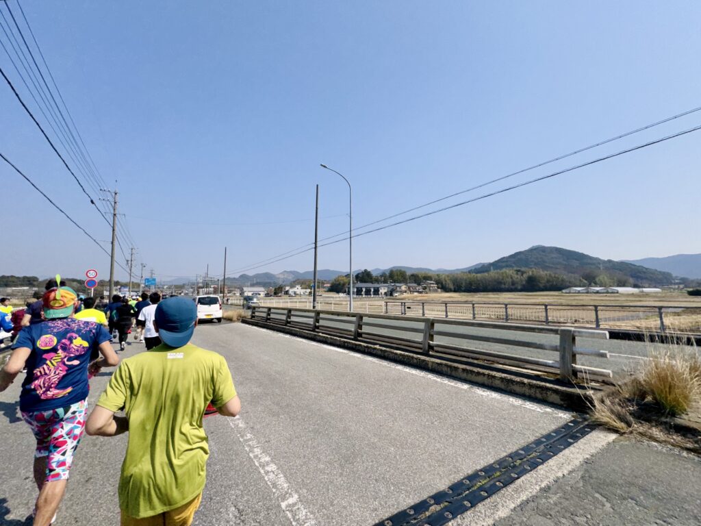豊橋ハーフマラソン 大会中の様子