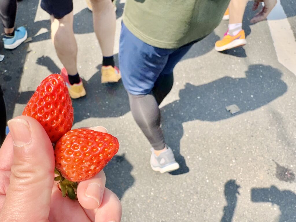 豊橋ハーフマラソン エイドのいちご
