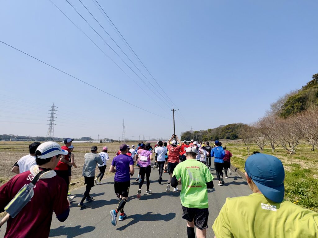 豊橋ハーフマラソン 大会中の様子