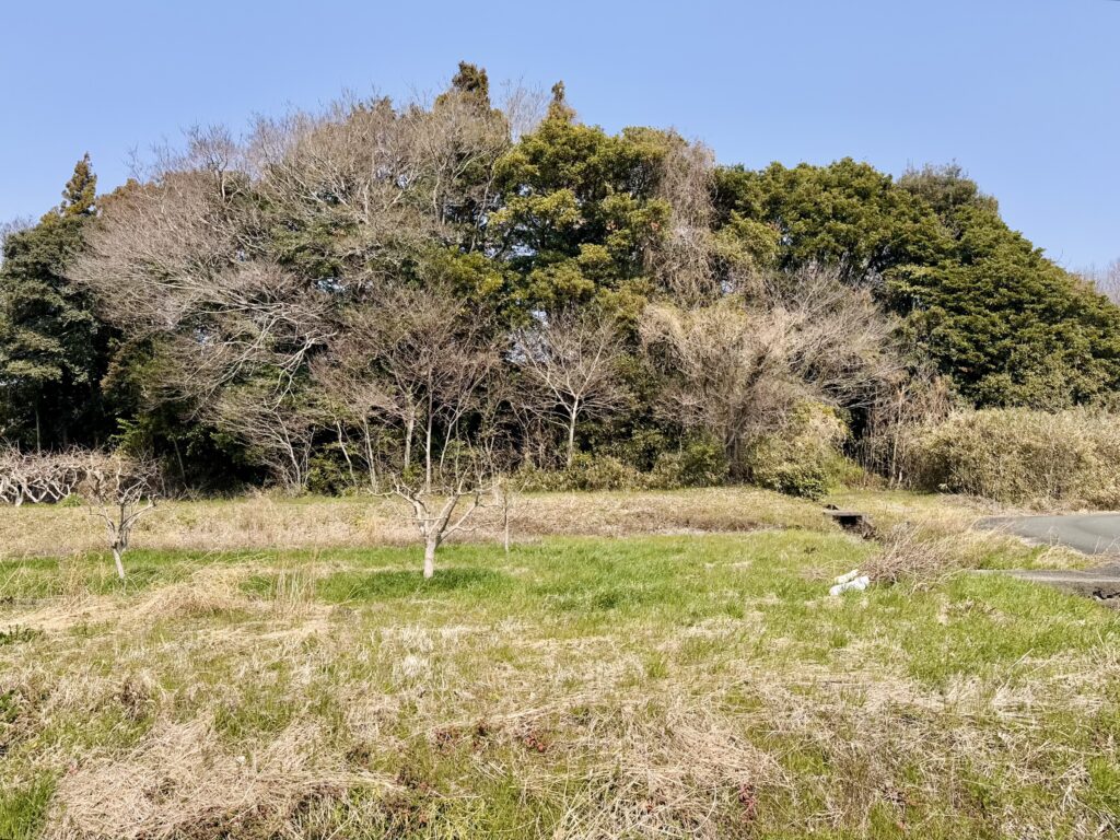 豊橋ハーフマラソン 大会中の様子
