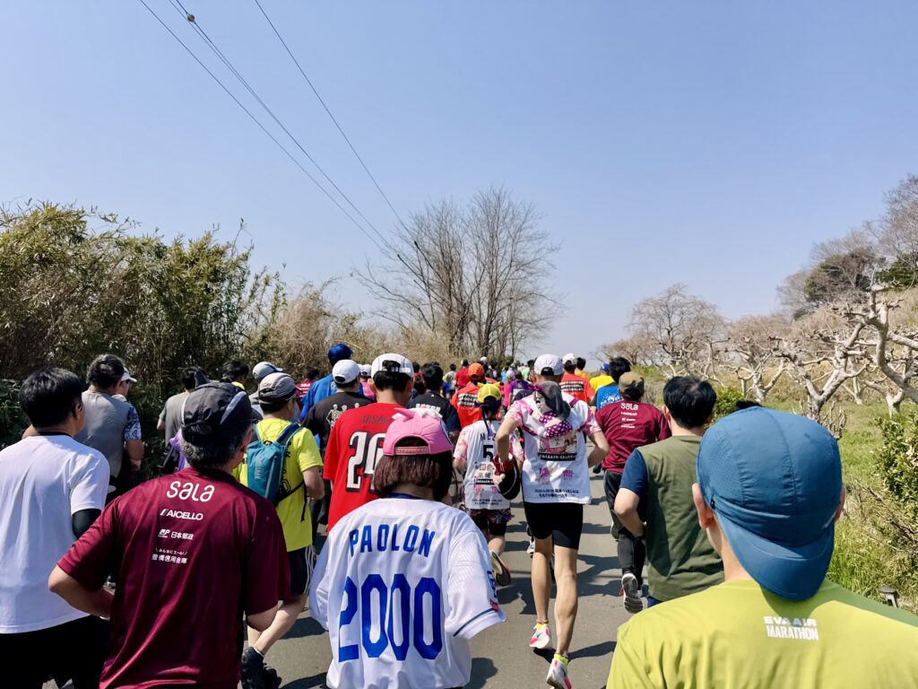 豊橋ハーフマラソン 大会中の様子