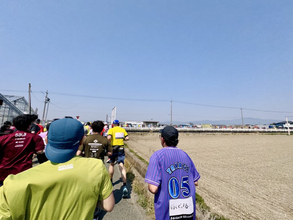 豊橋ハーフマラソン 大会中の様子