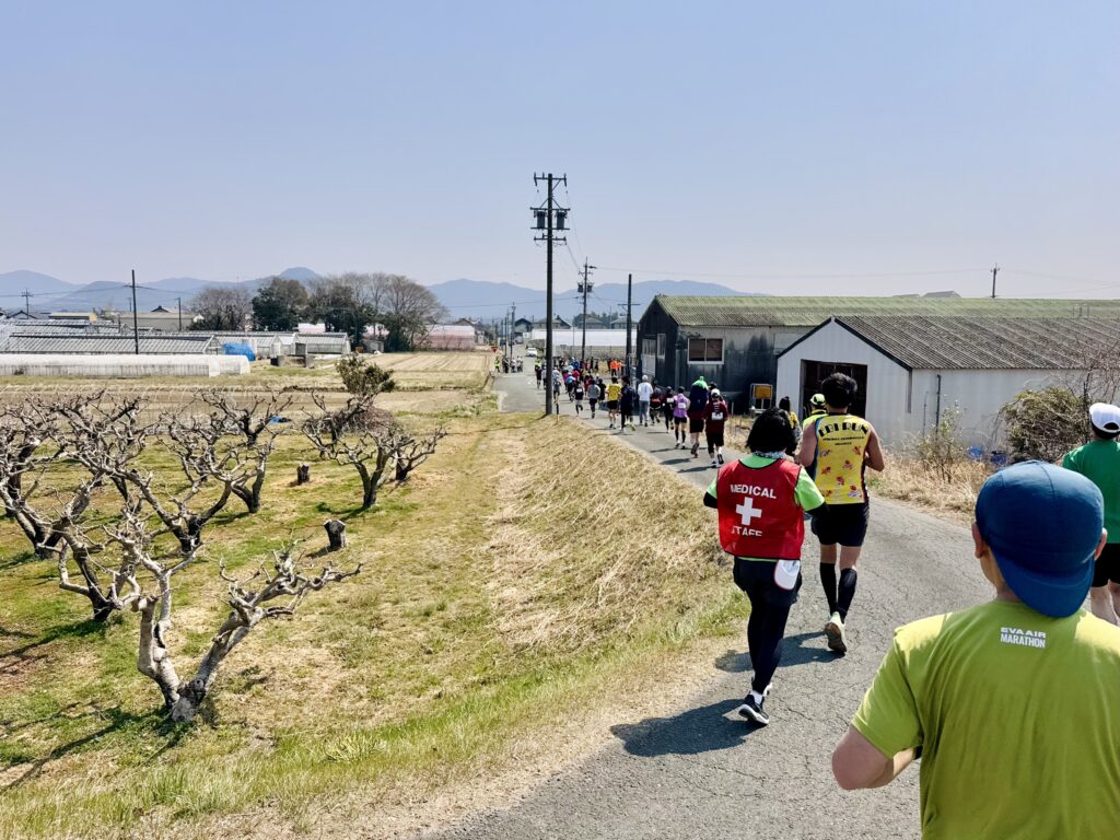 豊橋ハーフマラソン 大会中の様子