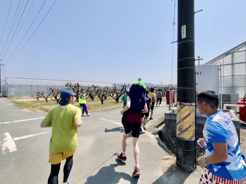 豊橋ハーフマラソン 大会中の様子