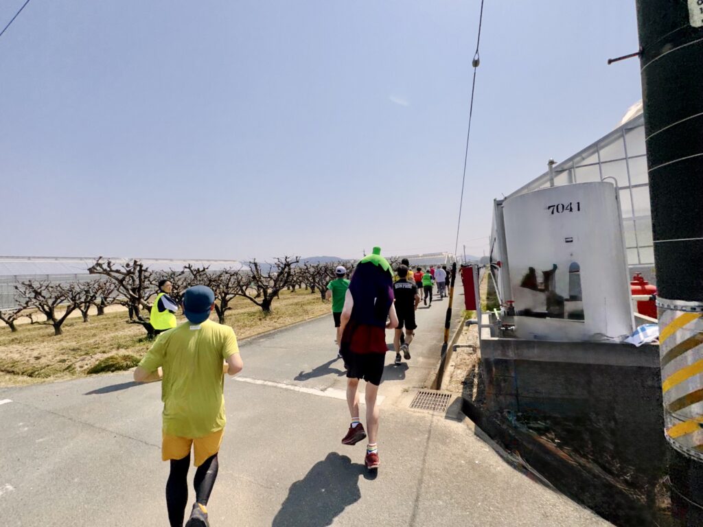 豊橋ハーフマラソン 大会中の様子