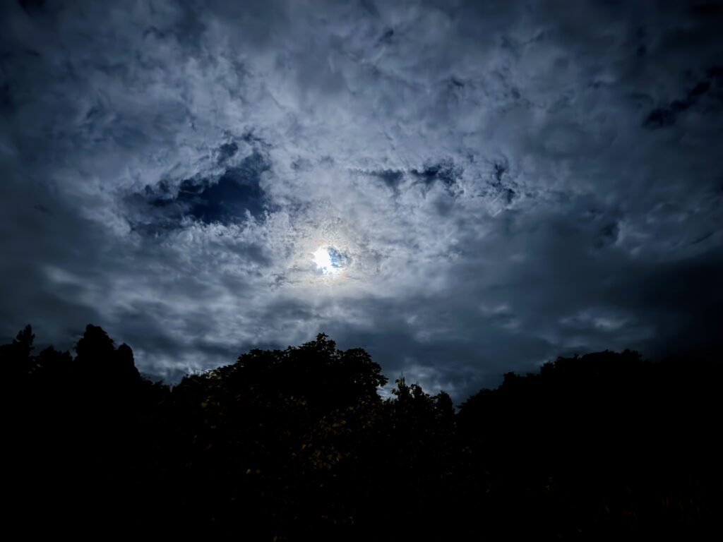 BLANC FUJI 食後に眺めた夜空