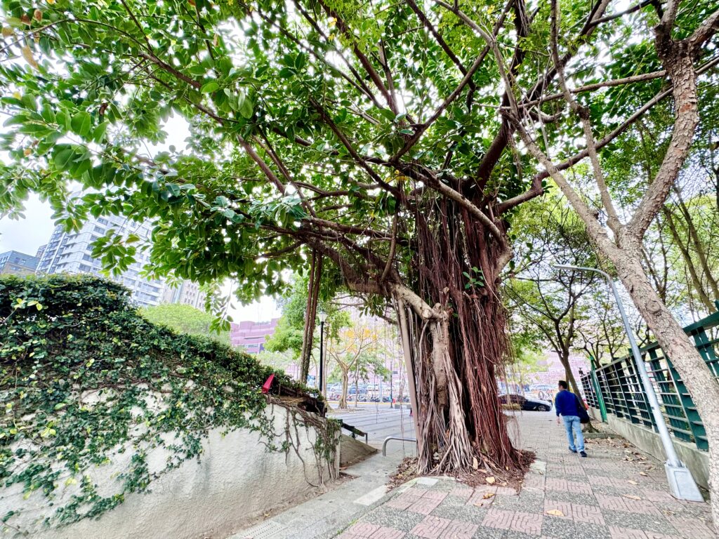 ハンブルハウス台北近くにあるレトロな町並み「四四南村」