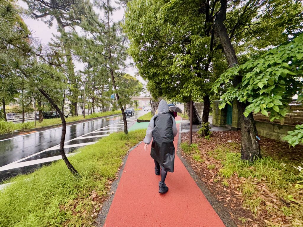 えだ旅2025年ふりかえり 東京エクストリームウォーク100に参加